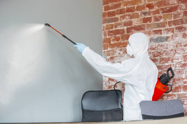 Best Mold Documentation for Insurance Claims  in Kenai, AK