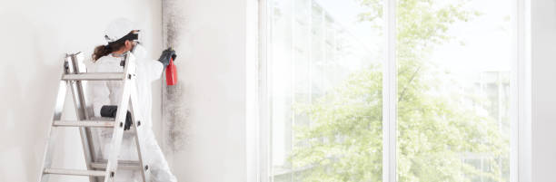 Best Dehumidification Services  in Kenai, AK