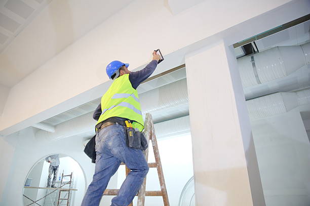 Best Mold Damage Restoration  in Kenai, AK