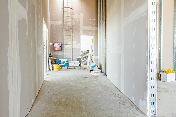 Best Post-Construction Mold Inspection  in Kenai, AK