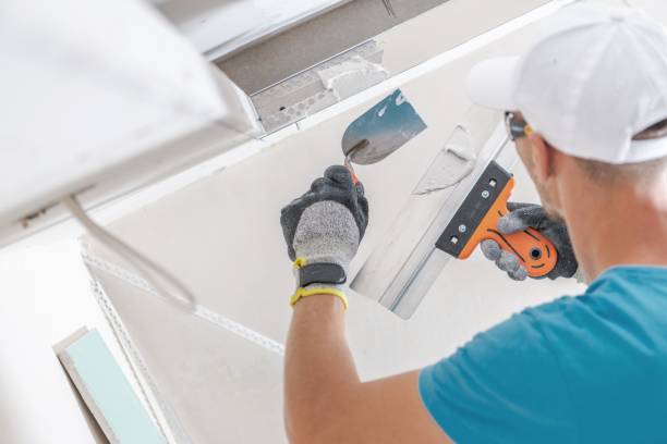 Best Residential Mold Inspection & Testing  in Kenai, AK